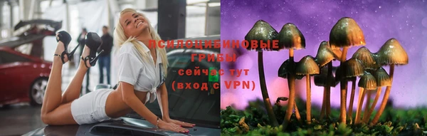 мескалин Алексин