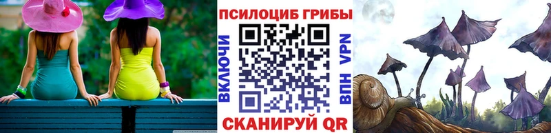 Псилоцибиновые грибы Psilocybine cubensis Починок